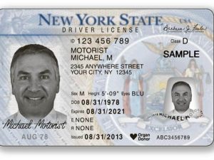 new york driver state